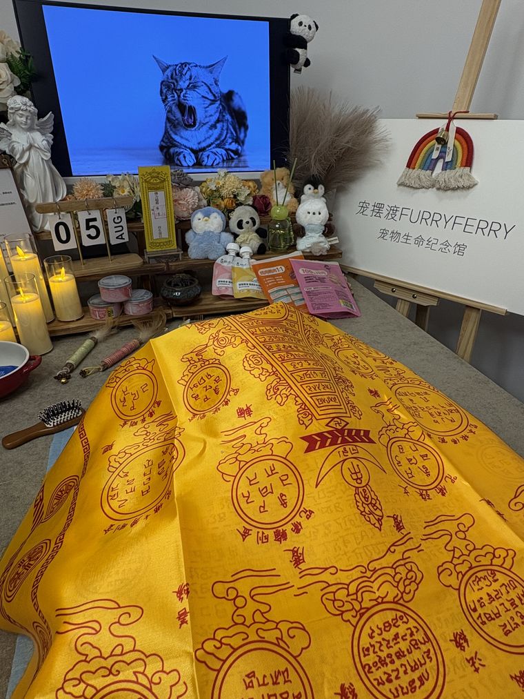 在佛山，当宠物离世后家人需要多久才能走出来