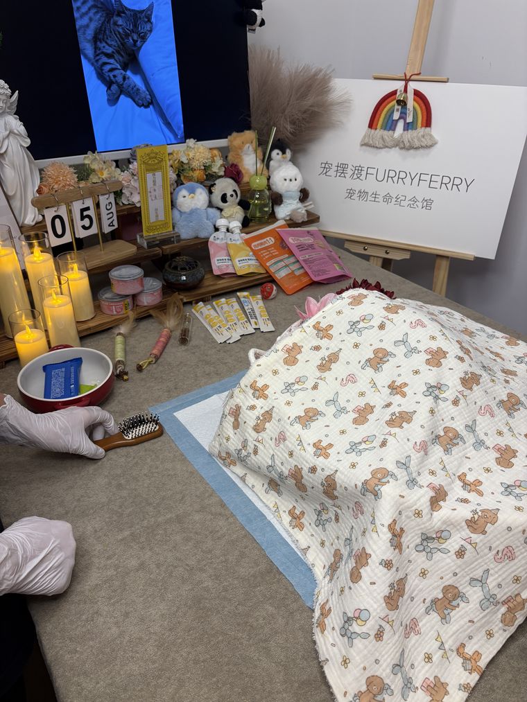 佛山宠物殡葬常见问题 TOP10，一次性解答